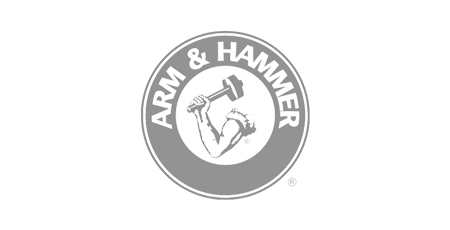 Arm and Hammer